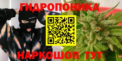 эйфоретик Берёзовский