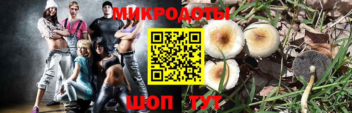 Гай  Alpha-PVP СОЛЬ   Вход с VPN  Купить  Меф МЯУ МЯУ кристаллы  ГАШ  ГАШИШ  КОКАИН  Меф  ГЕРОИН 
