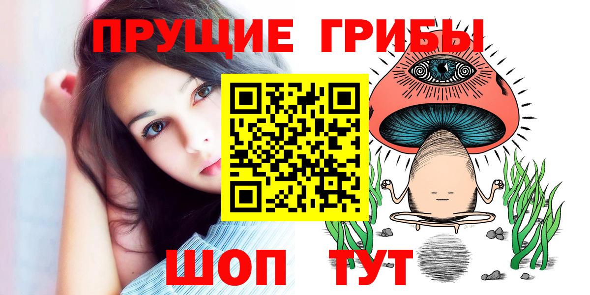 Гай  Псилоцибиновые грибы мухоморы  Вход с VPN 